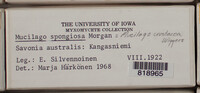 Image Associated With the Occurence